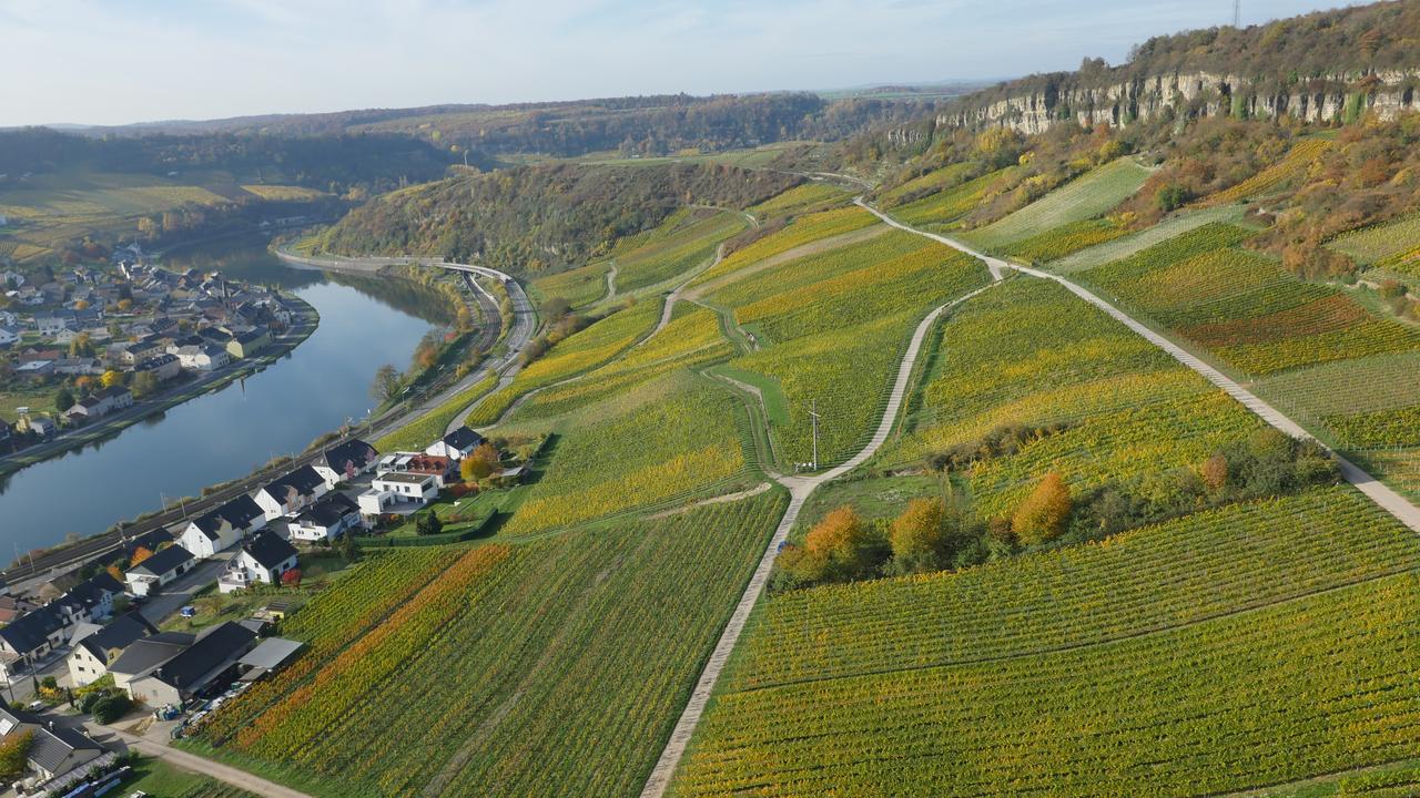 Weingut Und Gaestehaus Apel Ниттель Экстерьер фото