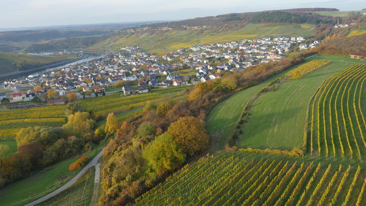 Weingut Und Gaestehaus Apel Ниттель Экстерьер фото